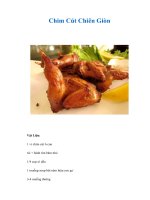 Tài liệu Chim Cút Chiên Giòn pdf