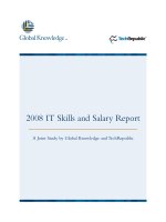 Tài liệu 2008_Salary Report docx