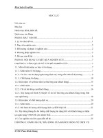 Đánh giá sự hài lòng của khách hàng cá nhân về chất lượng tín dụng tại ngân hàng VPBANK   chi nhánh huế 