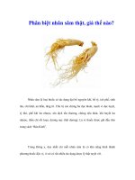 Tài liệu Phân biệt nhân sâm thật, giả thế nào? pdf