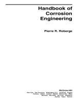 Tài liệu Handbook of Corrosion Engineering P1 pptx