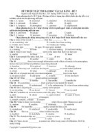 Tài liệu Đề thi thử CĐ ĐH năm 2010 môn Anh văn mã đề 02 pptx