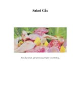 Tài liệu Salad Gấc pdf