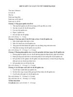 KHUNG KẾT CẤU LUẬN VĂN TỐT NGHIỆP ĐẠI HỌC