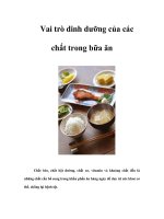 Tài liệu Vai trò dinh dưỡng của các chất trong bữa ăn pptx