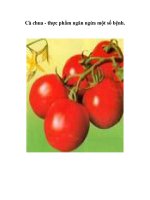 Tài liệu Cà chua - thực phẩm ngăn ngừa một số bệnh. docx