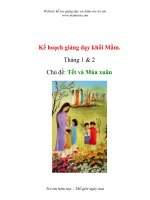 Tài liệu Kế hoạch giảng dạy - Chủ đề: Tết và Mùa xuân - Khối Mầm pdf