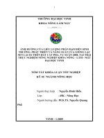 Ảnh hưởng của liều lượng đạm đến sinh trưởng, phát triển và năng suất của giống lạc sen lai l14 trên đất cát pha, vụ xuân 2008 tại trại thực nghiệm nông nghiệp khoa nông lâm ngư đại học vinh 