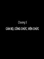 Cán bộ - công chức- viên chức