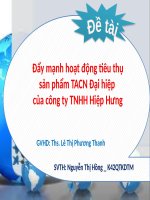 Slide đẩy mạnh hoạt động tiêu thụ sản phẩm thức ăn chăn nuôi đại hiệp của công ty TNHH hiệp hưng 