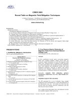 Tài liệu CIRED 2003 - Round Table on Magnetic Field Mitigation Techniques ppt