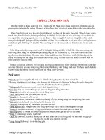 Tài liệu THẮNG CẢNH SƠN TRÀ pdf