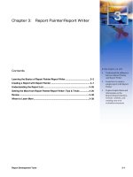 Tài liệu Chapter 3: Report Painter/Report Writer doc
