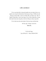 Giải pháp đẩy mạnh hoạt động marketing tại công ty TNHH sản xuất   thương mại hòa bình 