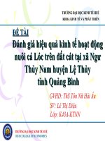 Slide đánh giá hiệu quả kinh tế hoạt động nuôi cá lóc trên đất cát tại xã ngư thủy nam huyện lệ thủytỉnh quảng bình 
