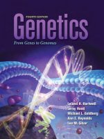 Hartwell genetics from genes to genomes 4th