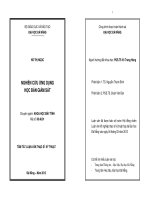 Nghiên cứu kỹ thuật học bán giám sát 