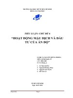HOẠT ĐỘNG mậu DỊCH và đầu tư của ấn độ 