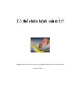 Tài liệu Có thể chữa bệnh mù mắt? docx