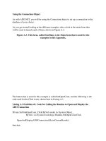 Tài liệu Using the Connection Object pptx