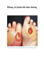 Tài liệu Phòng, trị bệnh đái tháo đường ppt