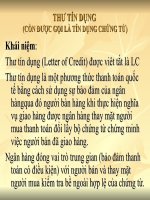 Tài liệu Thư tín dụng (Tín dụng chứng từ) ppt