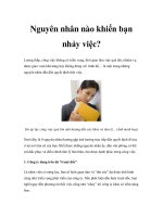 Tài liệu Nguyên nhân nào khiến bạn nhảy việc? docx
