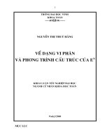 Về dạng vi phân và phương trình cấu trúc của en 