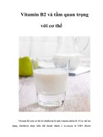 Tài liệu Vitamin B2 và tầm quan trọng với cơ thể docx
