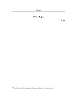 ĐÀM PHÁN ỨNG DỤNG CÔNG cụ, SÁCH lược và kỹ THUẬT (1) 