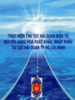 THỰC HIỆN THỦ TỤC HẢI QUAN ĐIỆN TỬ ĐỐI VỚI HÀNG HÓA XUẤT KHẨU, NHẬP KHẨU 