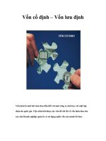 Tài liệu Vốn cố định – Vốn lưu định pptx