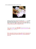 Tài liệu Việt Nam Đồng đang ở đâu và sẽ đi về đâu? ppt