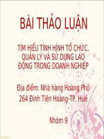 TÌM HIỂU TÌNH HÌNH tổ CHỨC, QUẢN lý và sử DỤNG LAO ĐỘNG TRONG DOANH NGHIỆP 