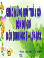 Tài liệu Bài 55 (SH8): Tuyến nội tiết