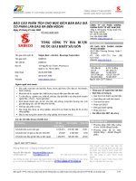 Bản Báo Cáo Phân Tích Bia Rượu Nước Giải Khát Sài Gòn