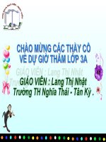 Gián án Bảng nhân 8