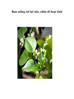 Tài liệu Rau mồng tơi lợi sữa, chữa di hoạt tinh ppt