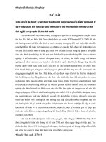 Hoàn  thiện  hạch  toán  nguyên  vật  liệu tại công ty TNHH hàn việt 