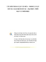 Tài liệu CÂU HỎI THẢO LUẬN VẤN ĐỀ 4: GIAO DỊCH DÂN SỰ – ĐẠI docx