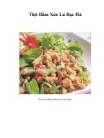 Tài liệu Thịt Bằm Xào Lá Bạc Hà pdf