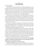 Đề tài vận dụng mô hình CAPM để lựa chọn danh mục đầu tư trên thị trường chứng khoán việtnam 