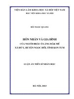 Hôn nhân và gia đình của tộc người brâu ở làng đắk mế, xã bờ y, huyện ngọc hồi, tỉnh kon tum 