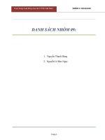Thực trạng hoạt động của các công ty chứng khoán việt nam 