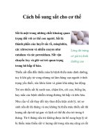 Tài liệu Cách bổ sung sắt cho cơ thể doc
