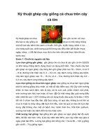 Tài liệu Kỹ thuật ghép cây giống cà chua trên cây cà tím docx