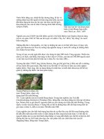 Tài liệu Thay đổi khí hậu doc