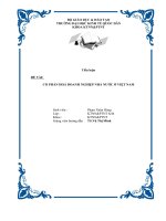 Tài liệu Tiểu luận Cổ phần hoá và cổ phần hoá doanh nghiệp nhà nước docx