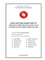 CHÍNH SÁCH CHỐNG bán PHÁ GIÁ của mỹ và GIẢI PHÁP CHO các DOANH NGHIỆP VIỆT NAM 