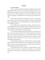 Một số giải pháp chiến lược để phát triển của công ty PDN đến năm 2020 